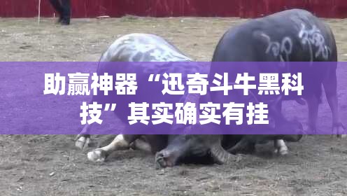 助赢神器“迅奇斗牛黑科技	”其实确实有挂