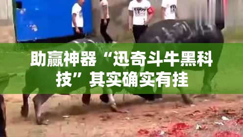 助赢神器“迅奇斗牛黑科技”其实确实有挂