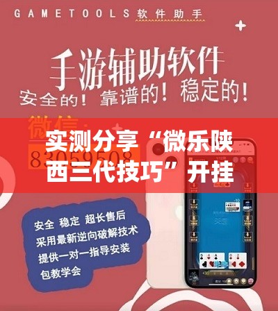 实测分享“微乐陕西三代技巧”开挂(透视)辅助教程