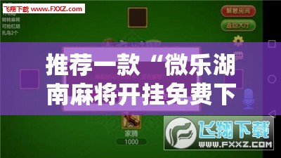 推荐一款“微乐湖南麻将开挂免费下载安装”开挂辅助脚本+详细开挂安装教程