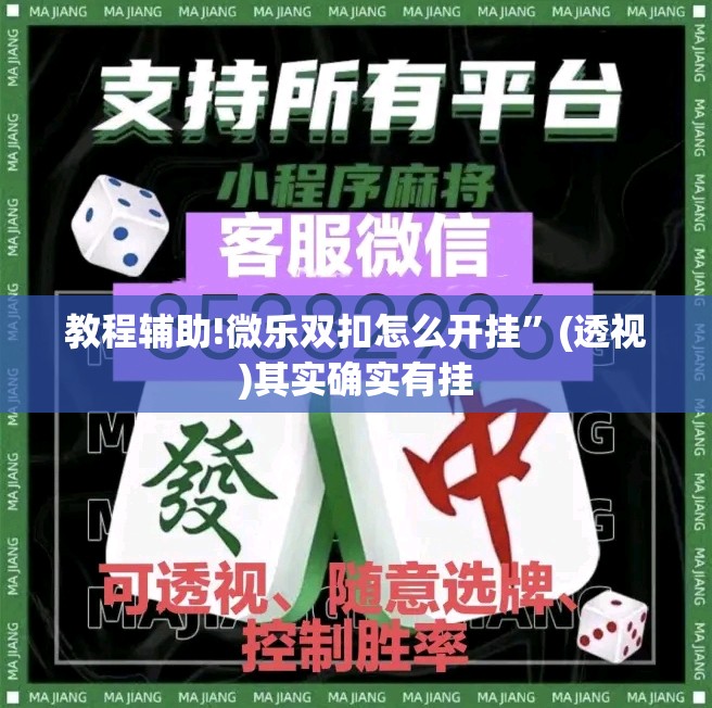 教程辅助!微乐双扣怎么开挂”(透视)其实确实有挂
