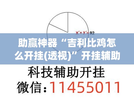 助赢神器“吉利比鸡怎么开挂(透视)”开挂辅助脚本+详细开挂安装教程