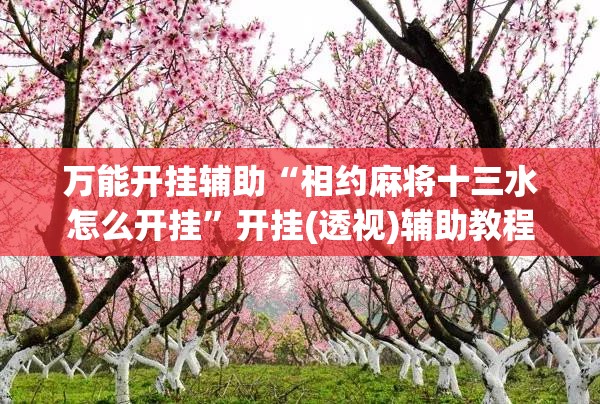 万能开挂辅助“相约麻将十三水怎么开挂	”开挂(透视)辅助教程