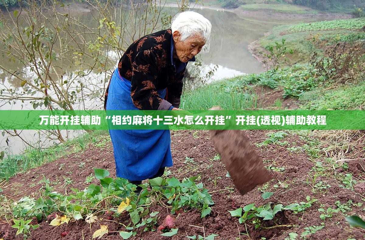 万能开挂辅助“相约麻将十三水怎么开挂	”开挂(透视)辅助教程