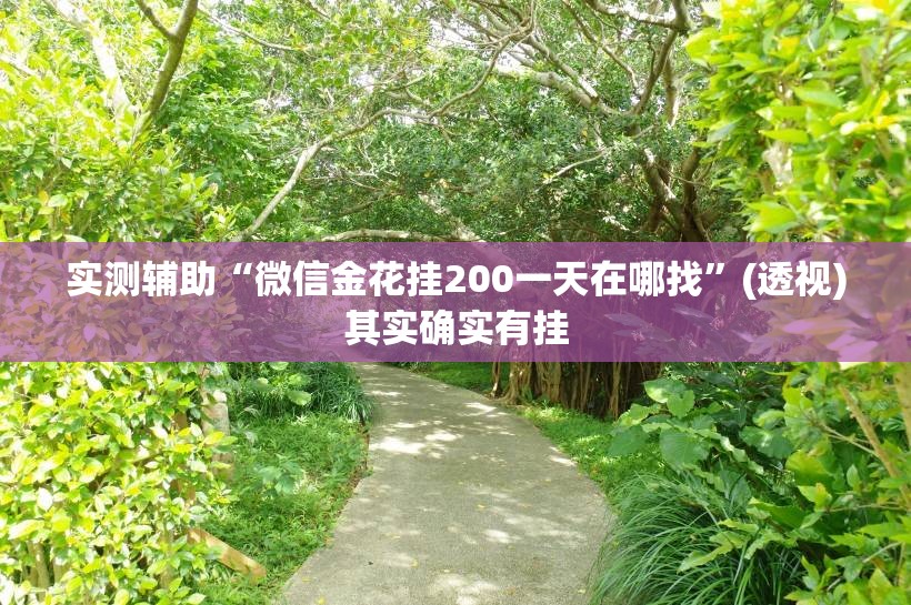 实测辅助“微信金花挂200一天在哪找”(透视)其实确实有挂