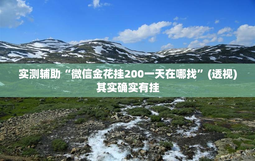 实测辅助“微信金花挂200一天在哪找”(透视)其实确实有挂
