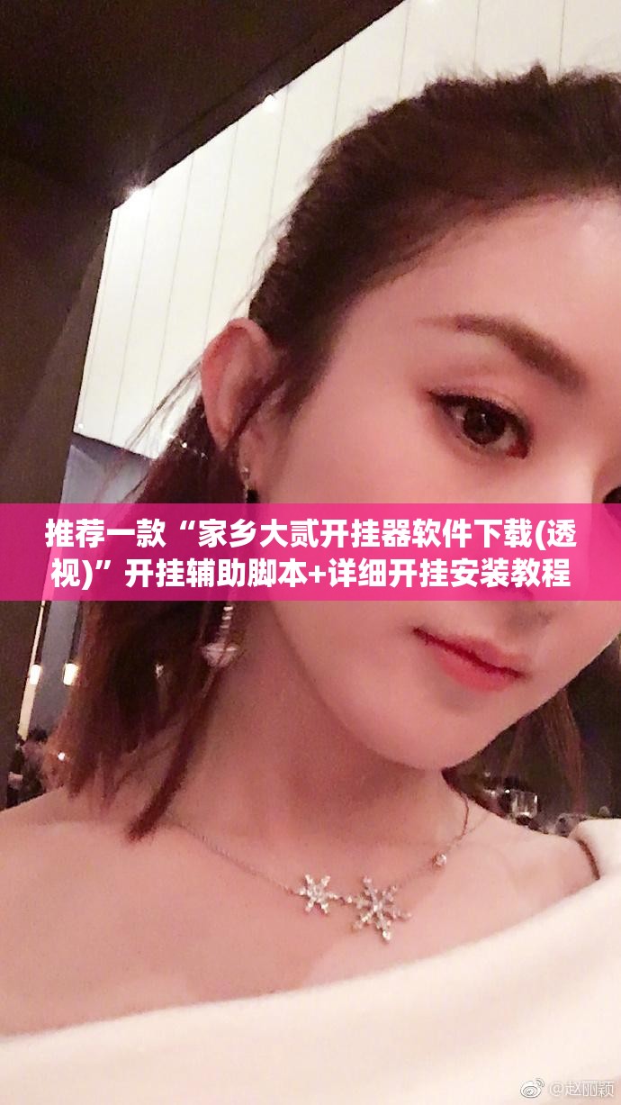 推荐一款“家乡大贰开挂器软件下载(透视)”开挂辅助脚本+详细开挂安装教程