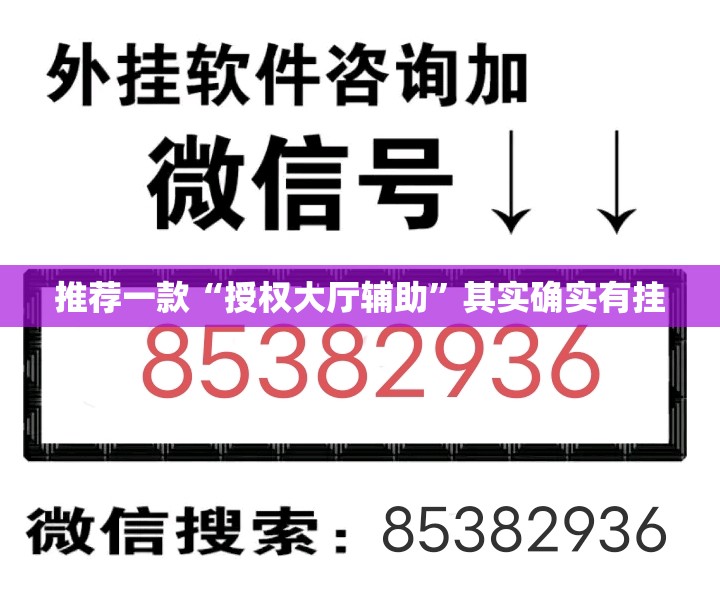 推荐一款“授权大厅辅助	”其实确实有挂