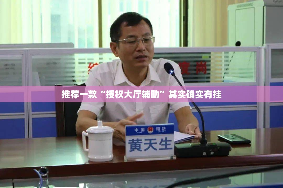 推荐一款“授权大厅辅助”其实确实有挂