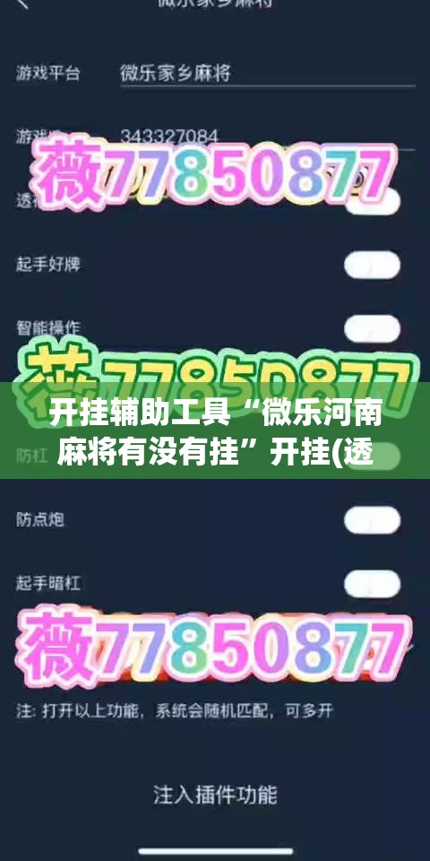 开挂辅助工具“微乐河南麻将有没有挂”开挂(透视)辅助神器