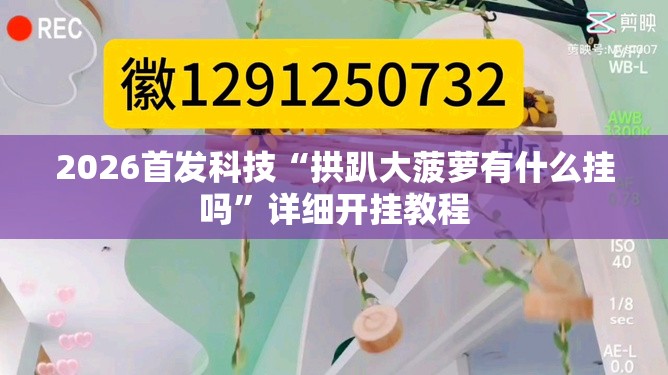 2026首发科技“拱趴大菠萝有什么挂吗	”详细开挂教程