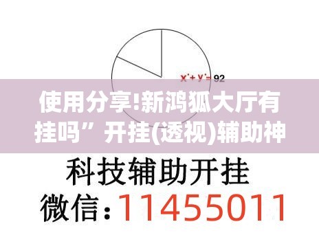 使用分享!新鸿狐大厅有挂吗	”开挂(透视)辅助神器