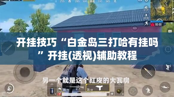 开挂技巧“白金岛三打哈有挂吗	”开挂(透视)辅助教程