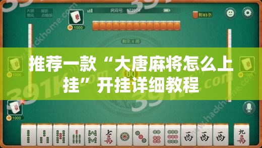 推荐一款“大唐麻将怎么上挂”开挂详细教程