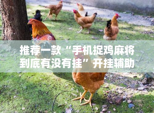 推荐一款“手机捉鸡麻将到底有没有挂”开挂辅助脚本+详细开挂安装教程