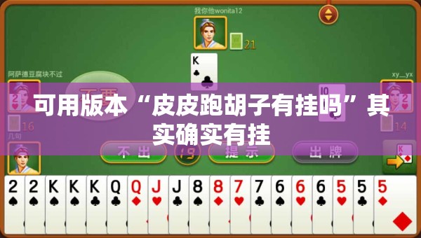 可用版本“皮皮跑胡子有挂吗”其实确实有挂