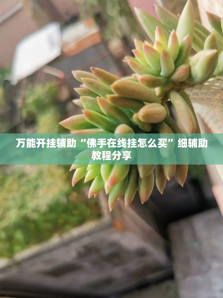 万能开挂辅助“佛手在线挂怎么买”细辅助教程分享