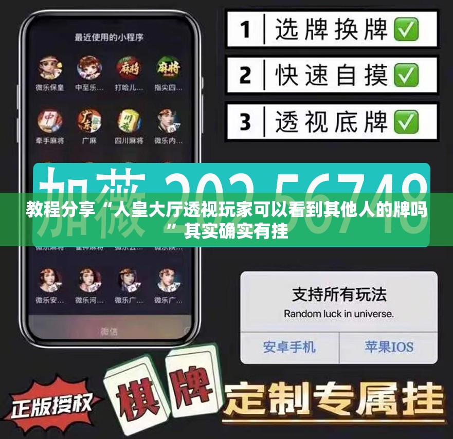 教程分享“人皇大厅透视玩家可以看到其他人的牌吗	”其实确实有挂