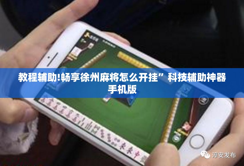 教程辅助!畅享徐州麻将怎么开挂”科技辅助神器手机版
