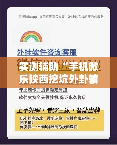 实测辅助“手机微乐陕西挖坑外卦辅助软件下载”详细分享装挂步骤