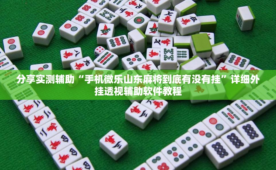 分享实测辅助“手机微乐山东麻将到底有没有挂”详细外挂透视辅助软件教程