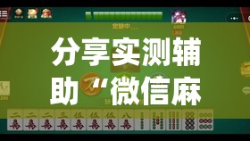 分享实测辅助“微信麻将小程序万能开挂器”(透视挂)辅助下载教程