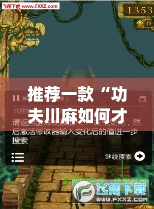 推荐一款“功夫川麻如何才赢”开挂(透视)辅助神器