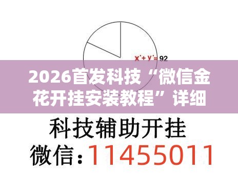 2026首发科技“微信金花开挂安装教程”详细外挂透视辅助软件教程