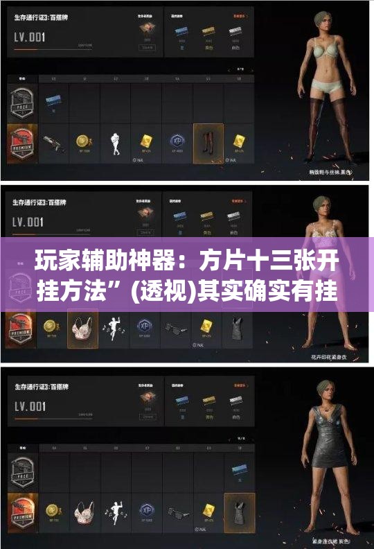 玩家辅助神器：方片十三张开挂方法”(透视)其实确实有挂