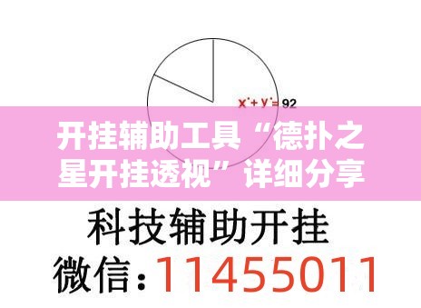 开挂辅助工具“德扑之星开挂透视”详细分享装挂步骤