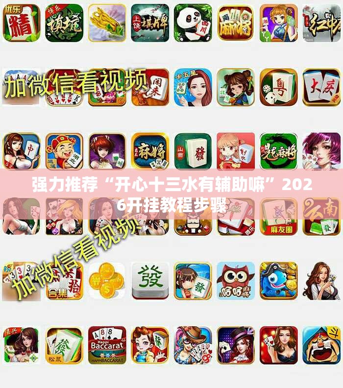 强力推荐“开心十三水有辅助嘛”2026开挂教程步骤