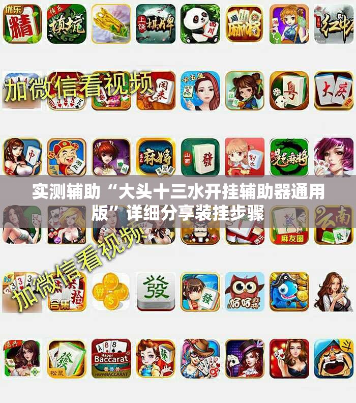实测辅助“大头十三水开挂辅助器通用版”详细分享装挂步骤
