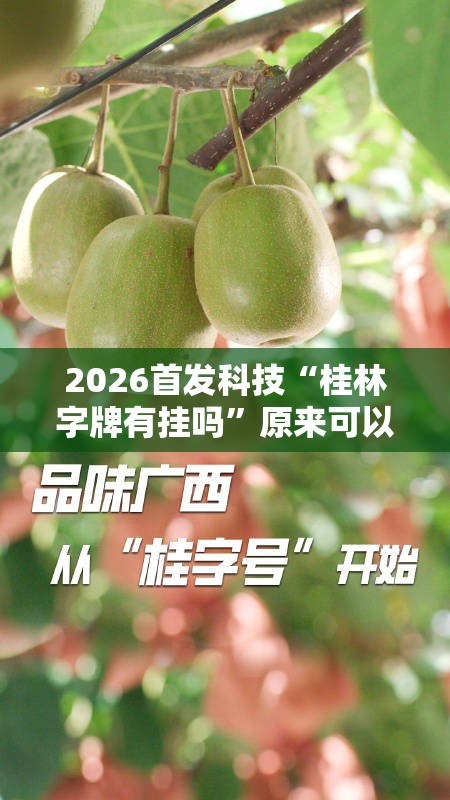 2026首发科技“桂林字牌有挂吗	”原来可以开挂