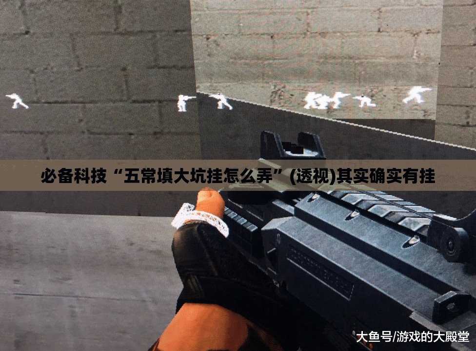 必备科技“五常填大坑挂怎么弄”(透视)其实确实有挂