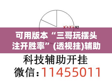 可用版本“三哥玩摆头注开胜率”(透视挂)辅助下载教程