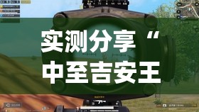实测分享“中至吉安王炸开挂辅助器通用版”(透视)其实确实有挂
