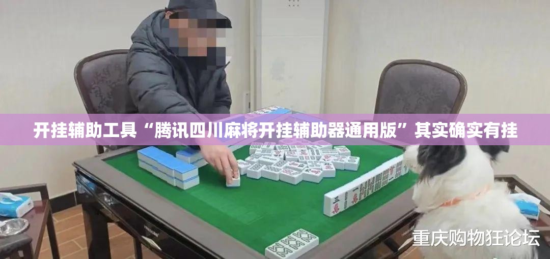 开挂辅助工具“腾讯四川麻将开挂辅助器通用版	”其实确实有挂