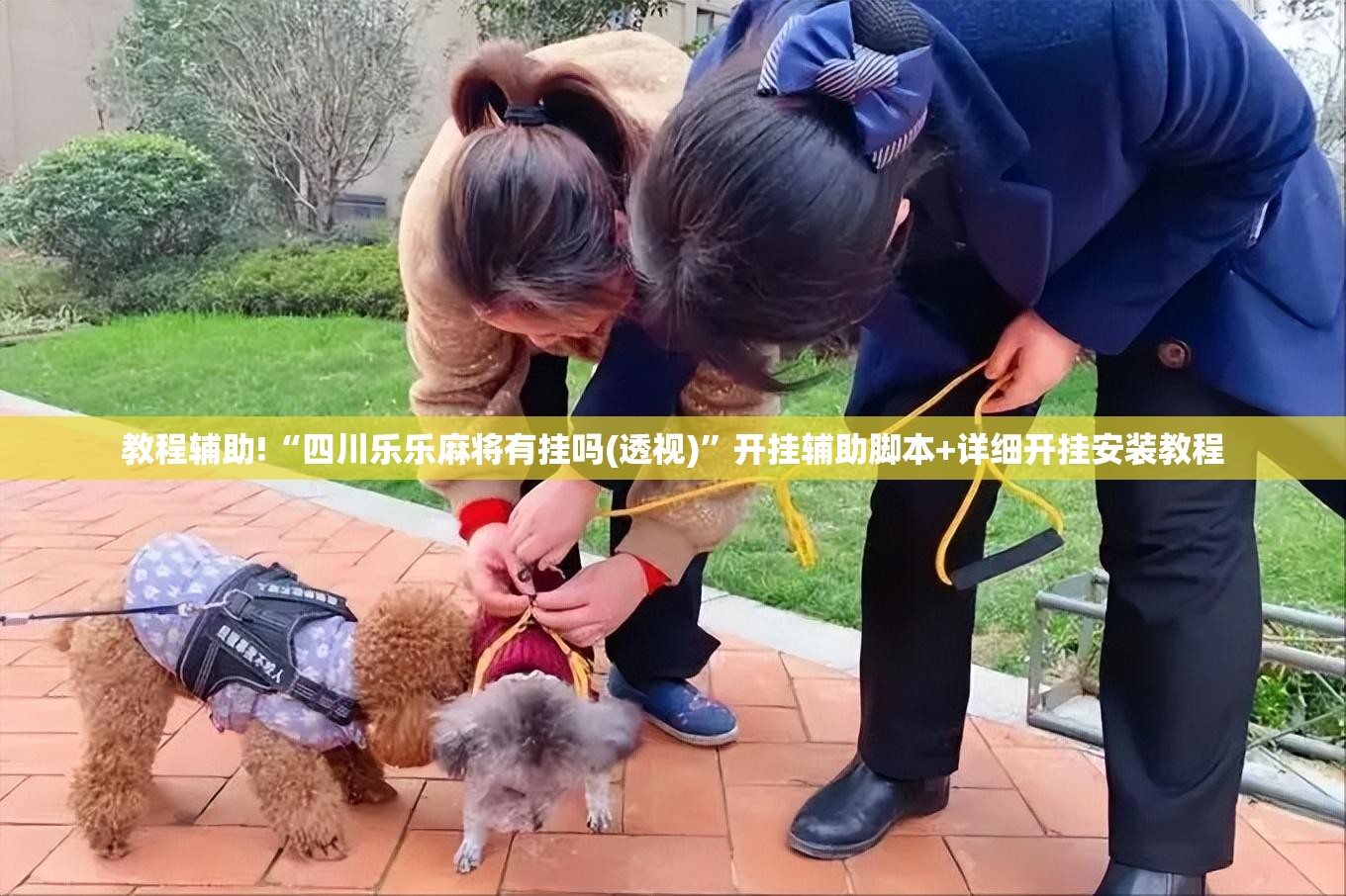 教程辅助!“四川乐乐麻将有挂吗(透视)”开挂辅助脚本+详细开挂安装教程
