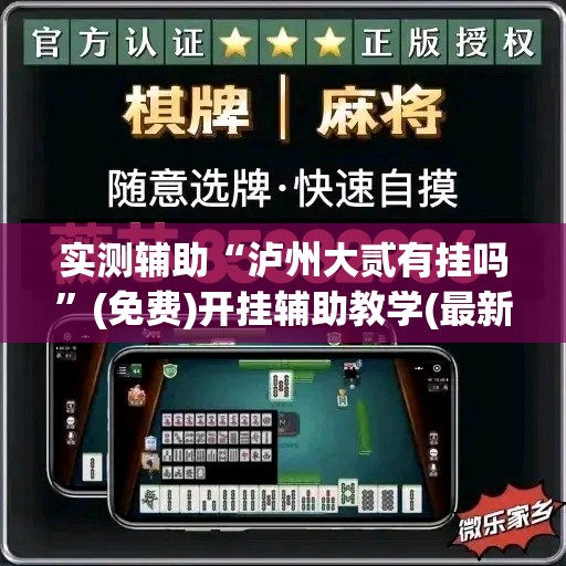 实测辅助“泸州大贰有挂吗	”(免费)开挂辅助教学(最新辅助开挂教程)