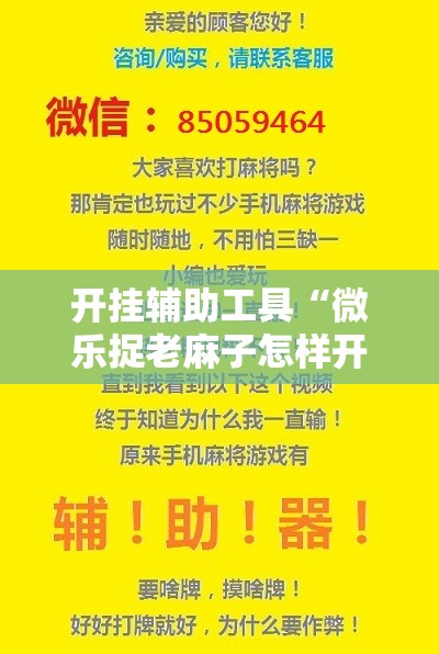 开挂辅助工具“微乐捉老麻子怎样开挂”开挂详细教程