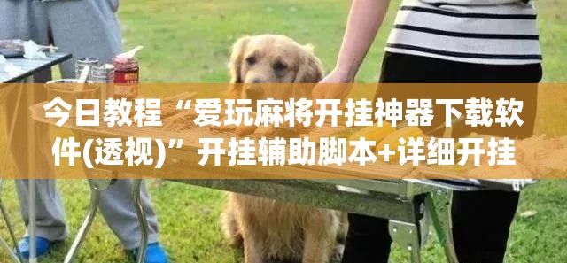 今日教程“爱玩麻将开挂神器下载软件(透视)”开挂辅助脚本+详细开挂安装教程