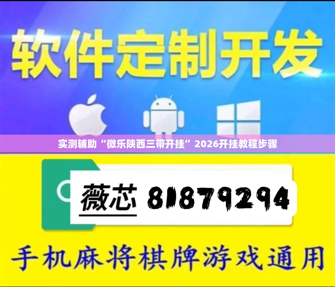 实测辅助“微乐陕西三带开挂”2026开挂教程步骤
