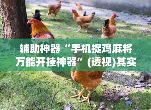 辅助神器“手机捉鸡麻将万能开挂神器	”(透视)其实确实有挂