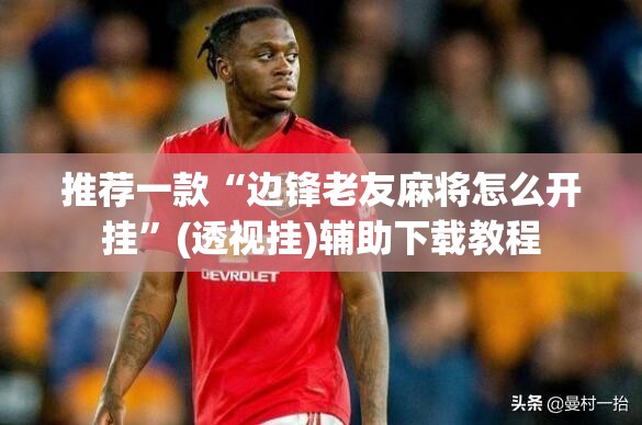推荐一款“边锋老友麻将怎么开挂”(透视挂)辅助下载教程