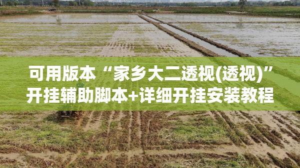 可用版本“家乡大二透视(透视)”开挂辅助脚本+详细开挂安装教程