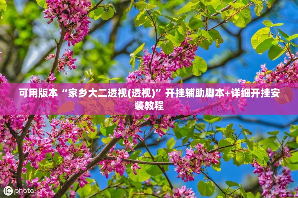 可用版本“家乡大二透视(透视)”开挂辅助脚本+详细开挂安装教程