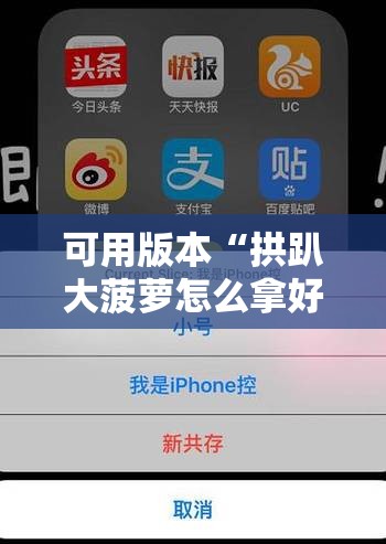 可用版本“拱趴大菠萝怎么拿好牌”科技辅助神器手机版