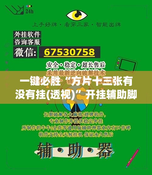 一键必胜“方片十三张有没有挂(透视)”开挂辅助脚本+详细开挂安装教程