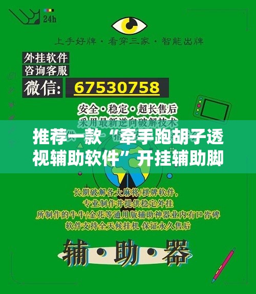 推荐一款“牵手跑胡子透视辅助软件”开挂辅助脚本+详细开挂安装教程