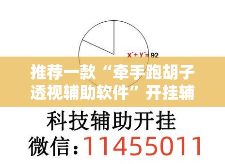 推荐一款“牵手跑胡子透视辅助软件”开挂辅助脚本+详细开挂安装教程